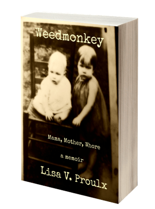 Weedmonkey 3D book cover